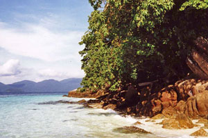 Koh Yang