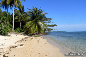 Desert beach in the Andamans