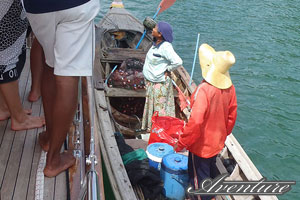 Fresh seafood vendor